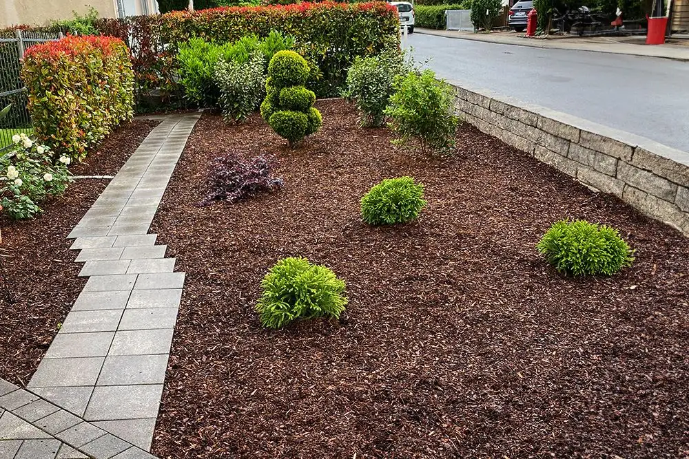 Vorgarten mit Rindenmulch, kleinen Koniferen und Formgehölz, daneben ein Plattenweg und eine Mauer aus Betonsteinen